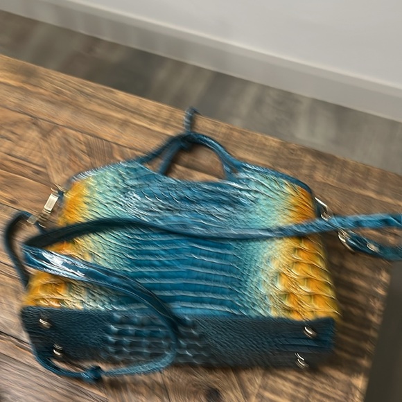 Brahmin - Picture 2 of 3